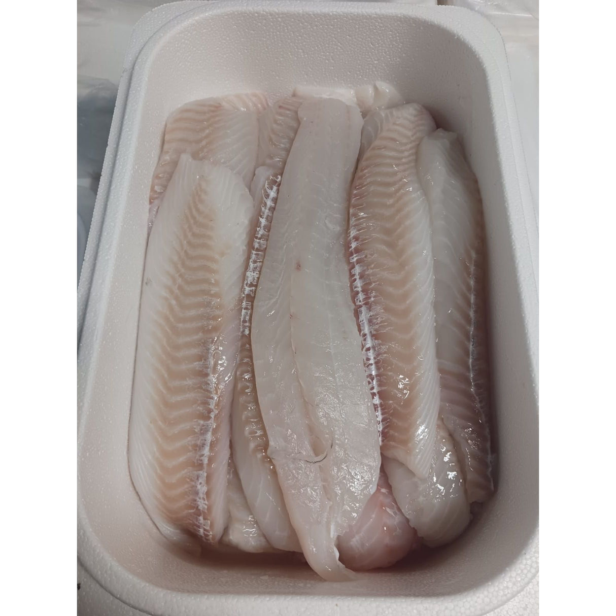 ISLANDSK Torskeloins 5 kg / store 400 gr.+ (FERSK)