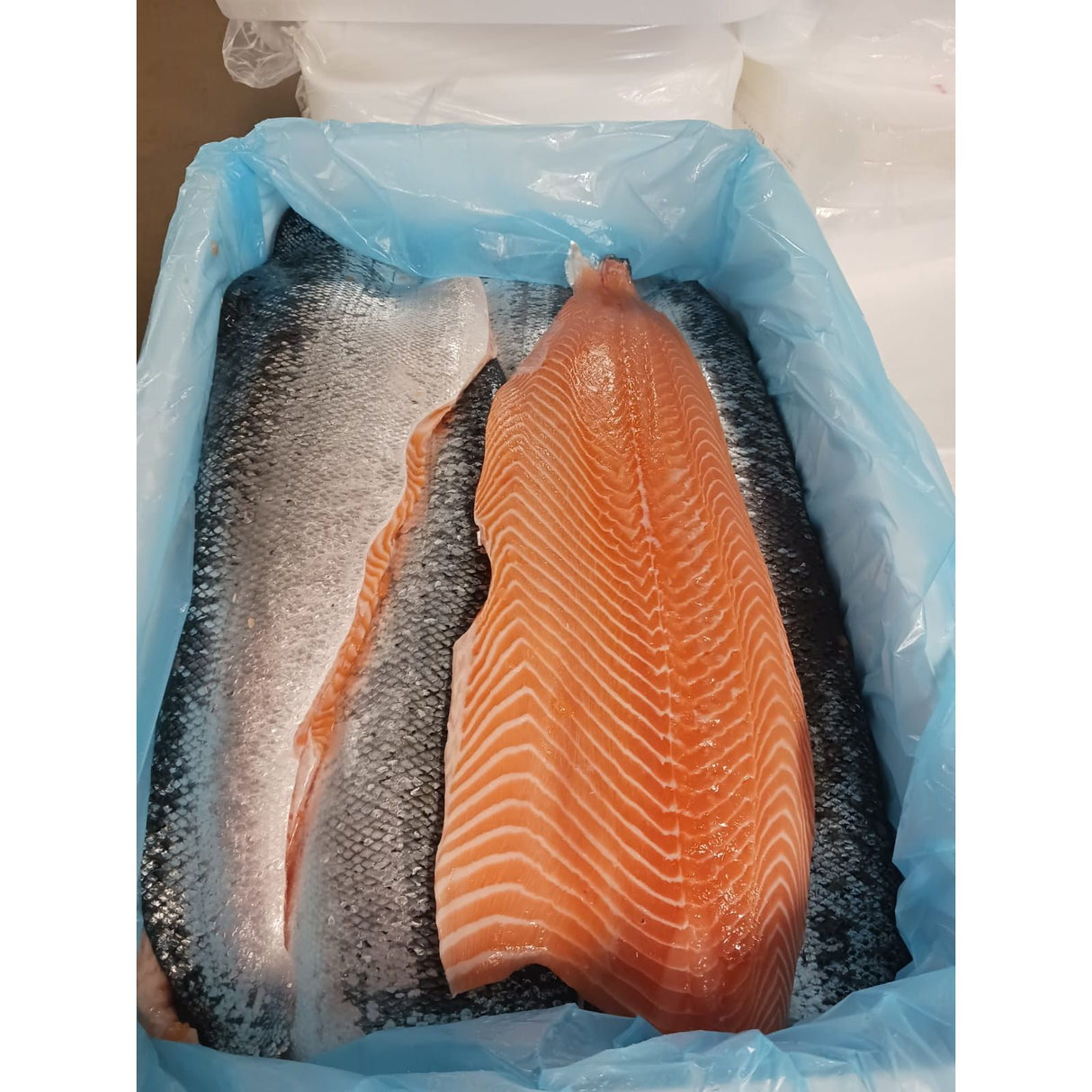 ISLANDSK Laksefilet 10 kg (FERSK)