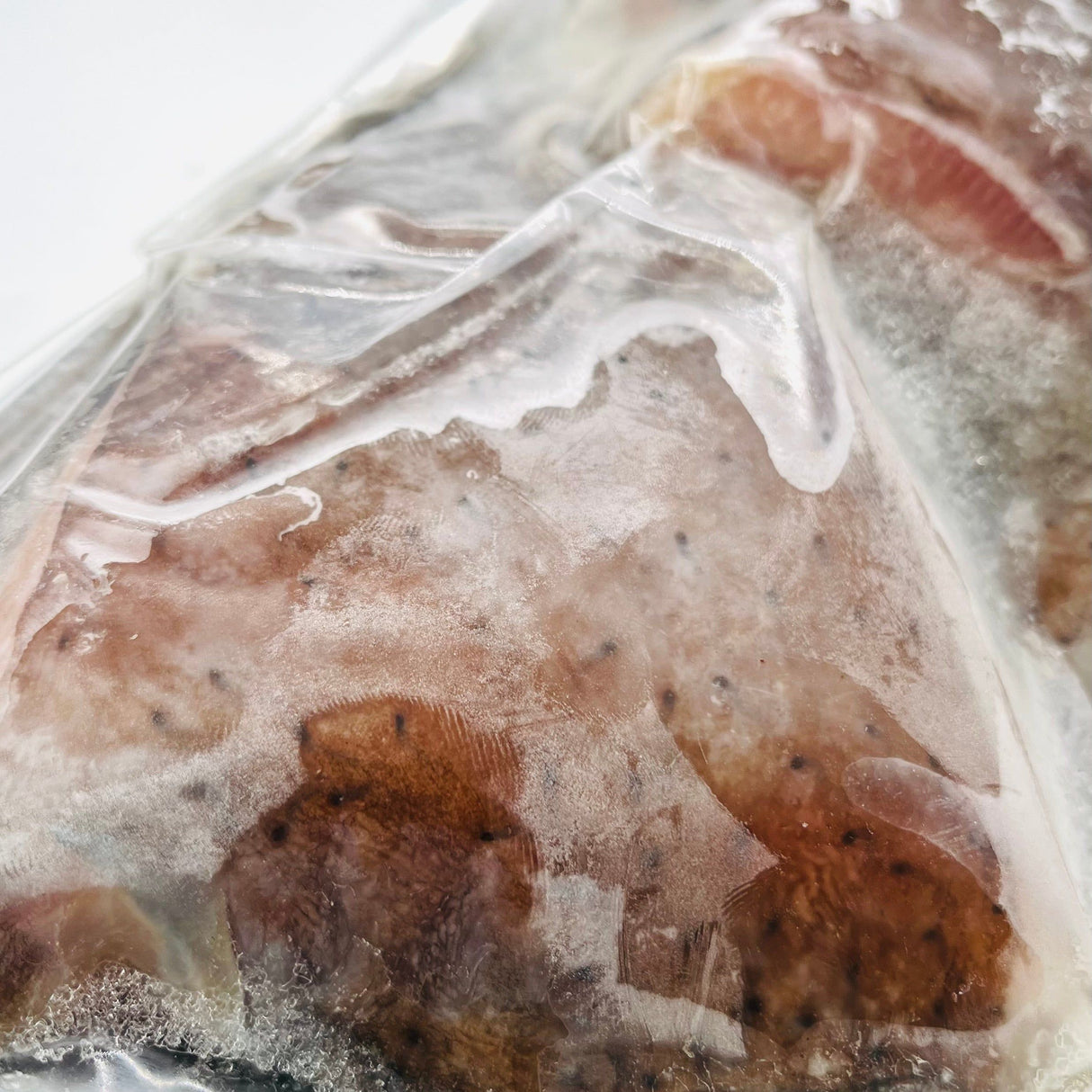 Kæst skata (Ekta skata), ca. 1,45 kg