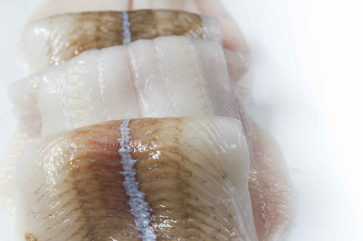 ISLANDSK Rødspættefilet u/skind 5 kg (FERSK)