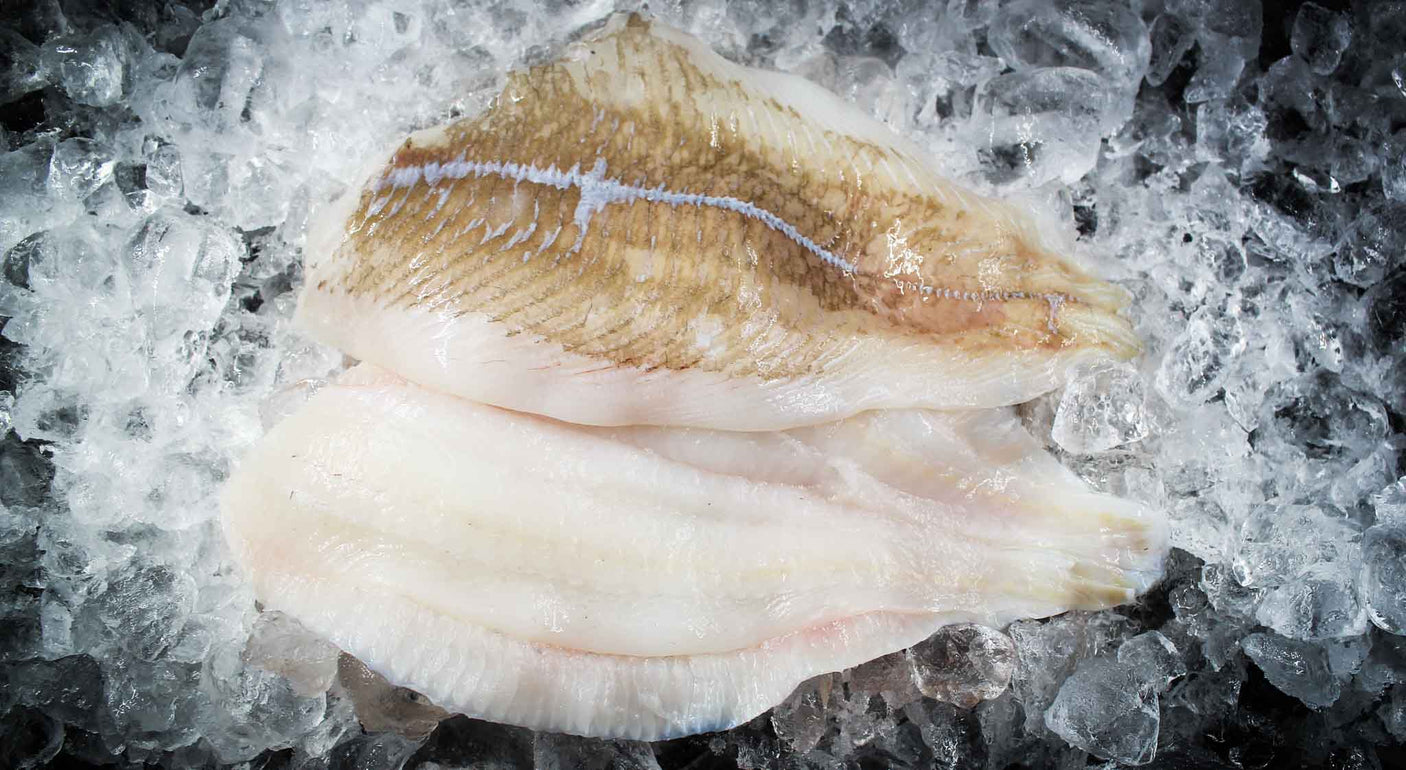 ISLANDSK Rødspættefilet u/skind 5 kg (FERSK)