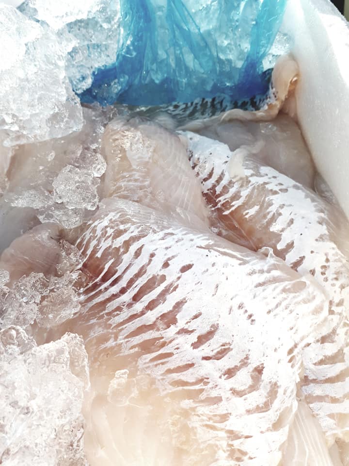 Kullerfilet, islandsk ca. 2 kg (FROSSET)