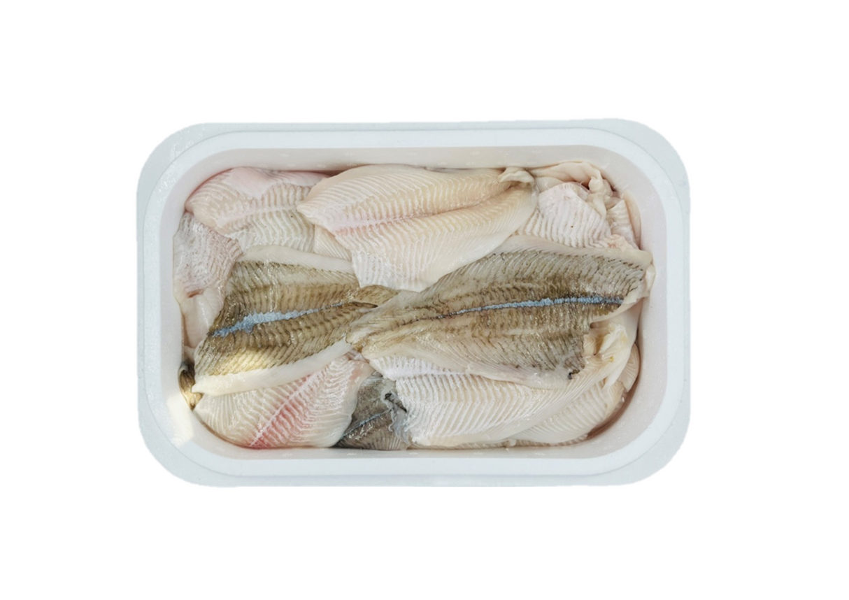 ISLANDSK Rødspættefilet u/skind 5 kg (FERSK)