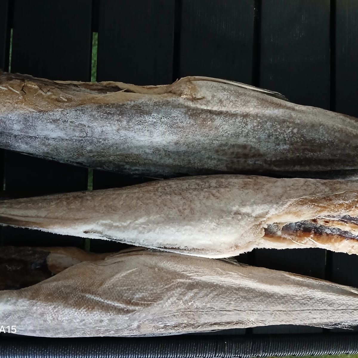 ICEFOOD Fermenteret torsk (siginn/ræstur fiskur) ca. 800 gr (FROSSET)