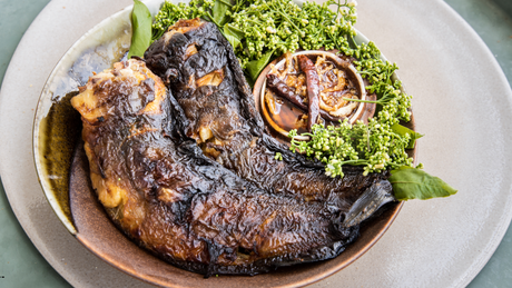 Grillet havkat med krydderurter og nye kartofler