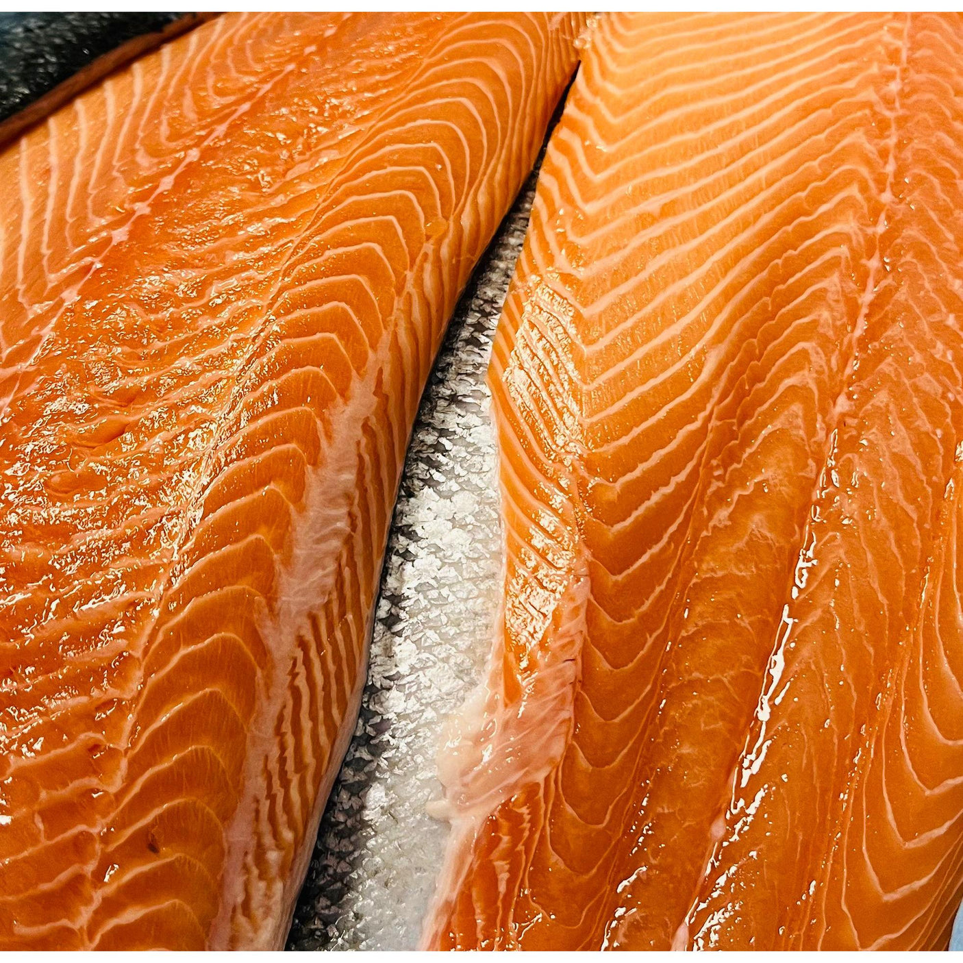 FÆRØSK laksefilet, STORE  Ca. 1,9 kg (hel side) 🇫🇴