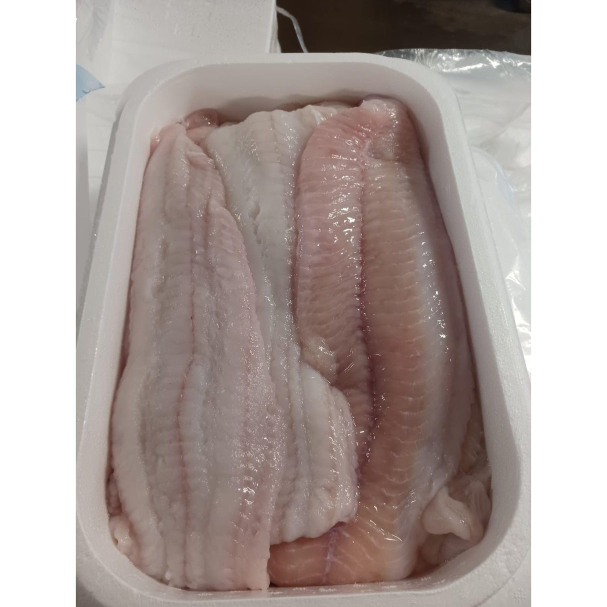 ISLANDSK  Havkatfilet,   5 kg / str. 400 gr.+ (FERSK)
