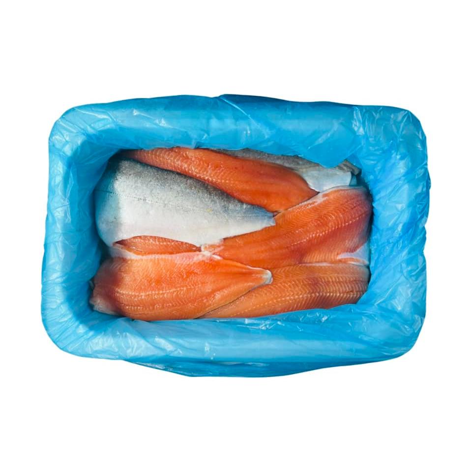 ISLANDSK Fjeldørredfilet  5 Kg.  FERSK