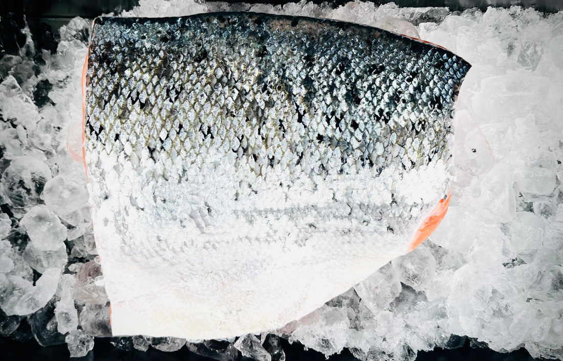 Laksefilet, færøsk ca. 0,55 kg (FROSSET)