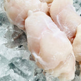 ICEFOOD Havkatkæber, islandske ca. 500 gr (FROSSET)