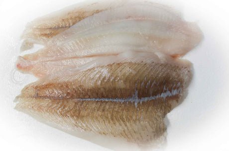 ISLANDSK Rødspættefilet uden skind 5 kg (FERSK)