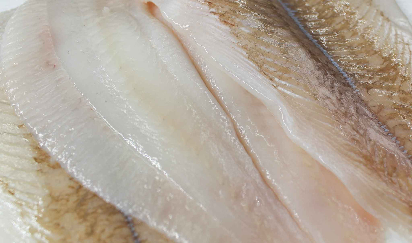 ISLANDSK Rødspættefilet u/skind 5 kg (FERSK)