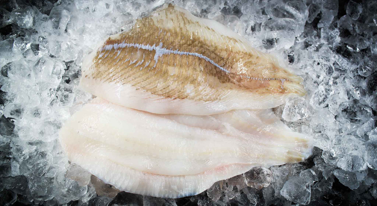 ISLANDSK Rødspættefilet uden skind 5 kg (FERSK)
