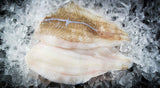 ISLANDSK Rødspættefilet uden skind 5 kg (FERSK)