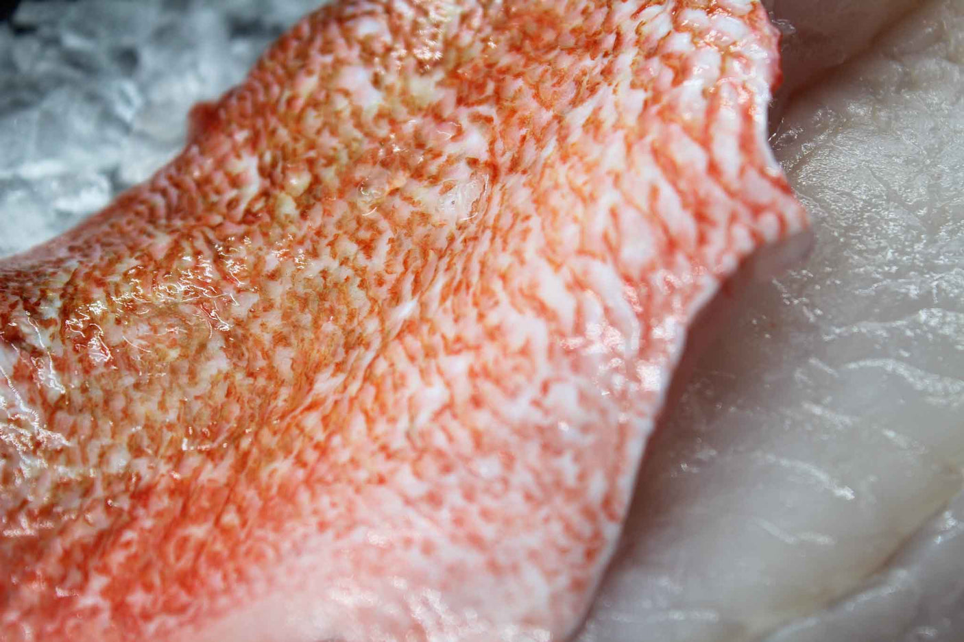 ISLANDSK  Rødfiskfilet 5 kg (FERSK)